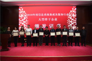 南瑞集團(tuán)榮獲信息系統(tǒng)集成及服務(wù)行業(yè)大型骨干企業(yè)稱(chēng)號(hào)